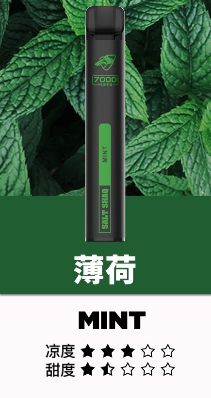 鯊克拋棄式7000口 Salt Shaq一次性霧化棒
